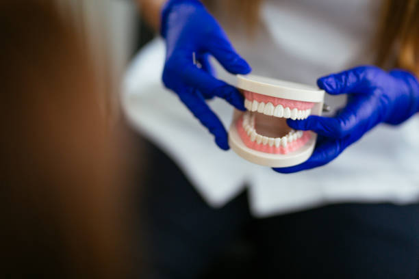 Professional  Holistic Dental Services in Commercial Point, OH